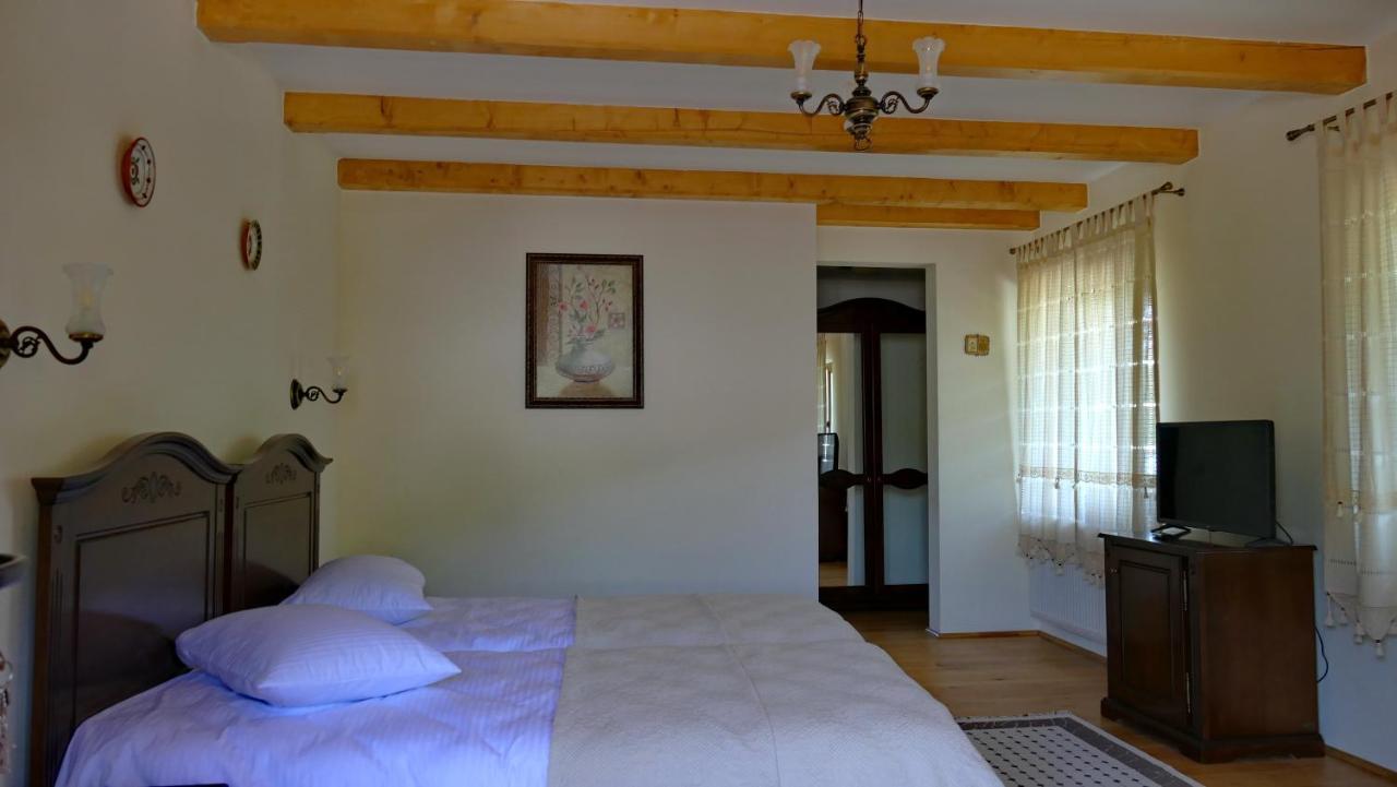 Pensiunea Valea Muntelui Bîrsana 外观 照片